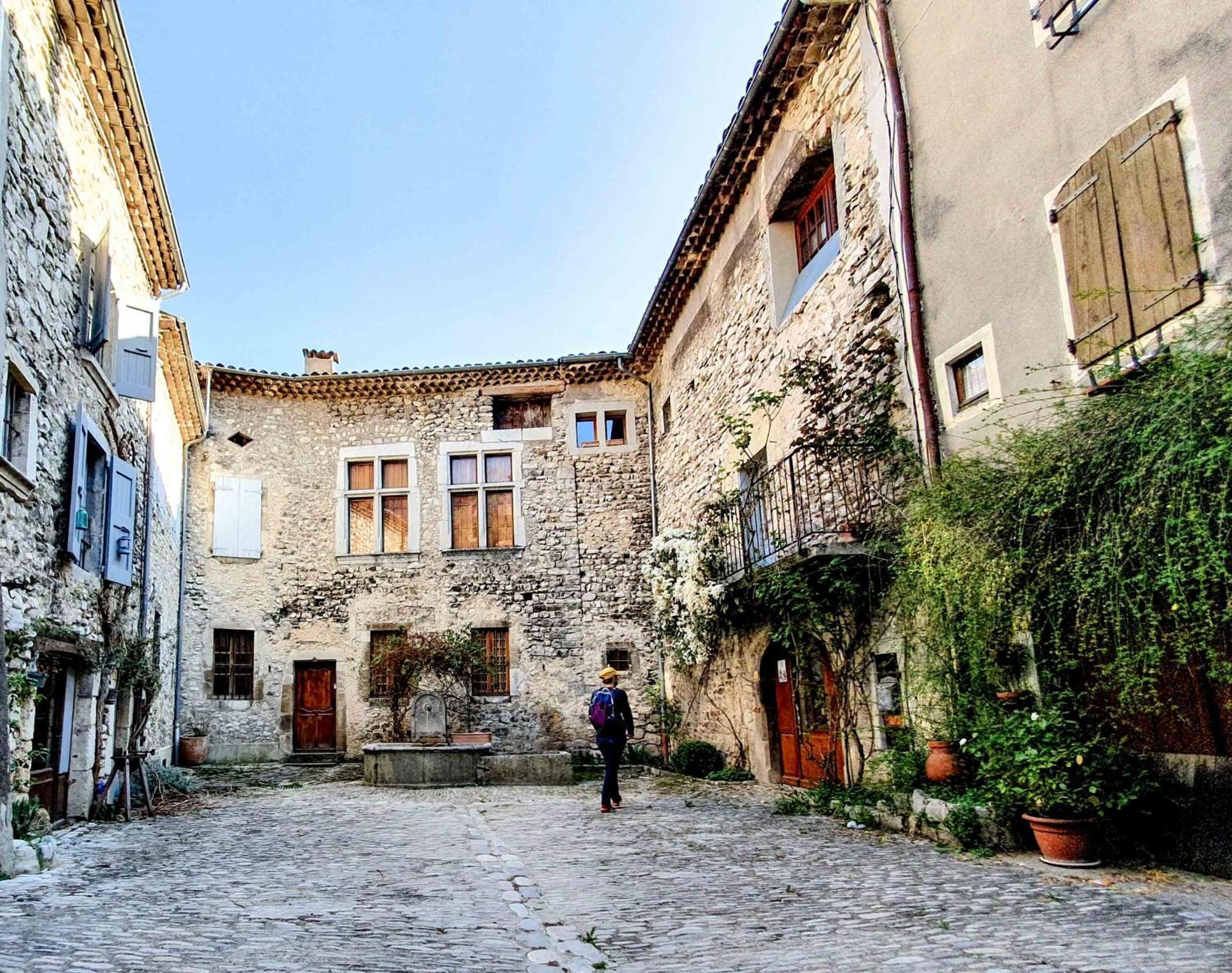 Hotel Le Dauphine à Châtillon-en-Diois Extérieur photo